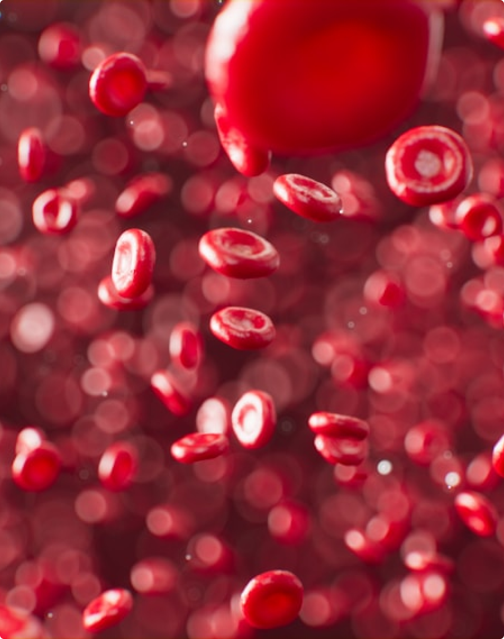 Blood Microcirculation — How to Improve It?